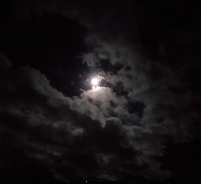 Dark Tales in the Night of Dwingelderveld — Bezoekerscentrum Dwingelderveld, Ruinen