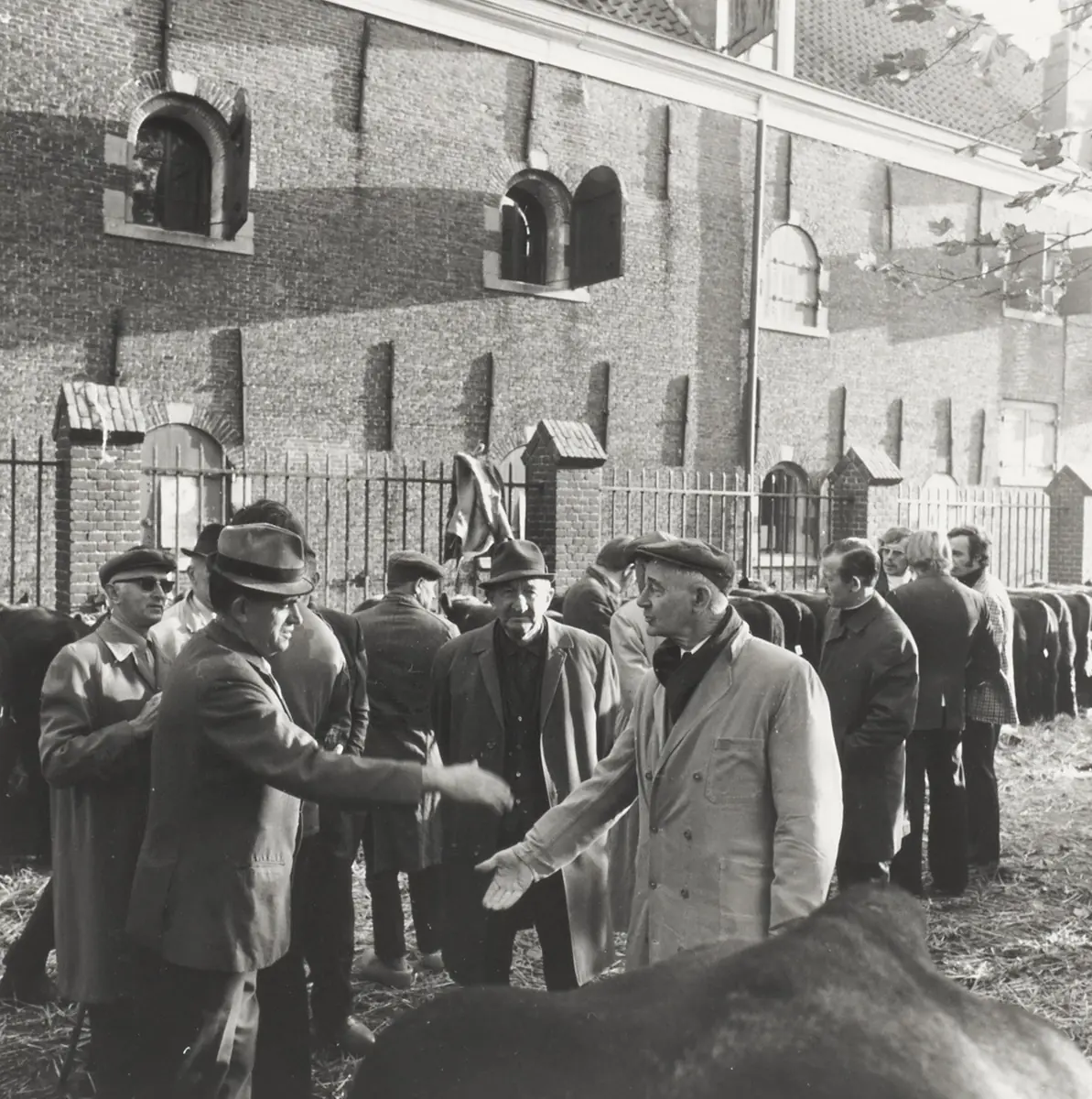 A House Full of Stories - How a Centuries-Old Tradition Like the Woerden Cattle Market Stays Alive — de Bibliotheek Harmelen, Harmelen