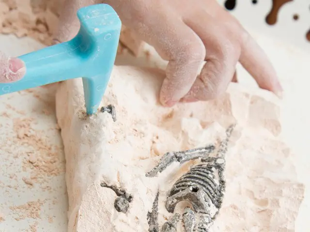 Dino's | Mad Science β Bibliotheek Noordwijk, Noordwijk
