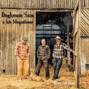 Doghouse Sam & His Magnatones — USA Weekend - Ospel, Ospel