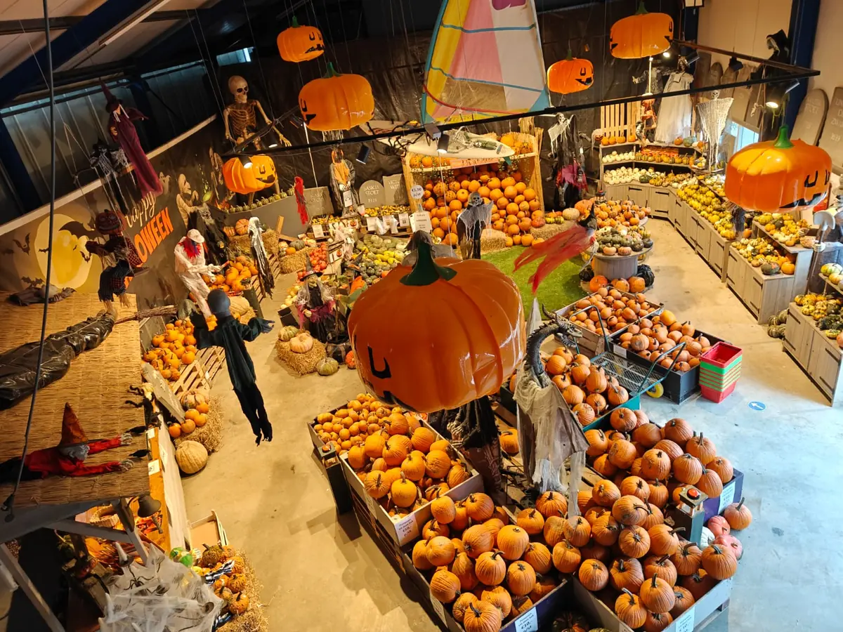 Pumpkin Festival — Almere