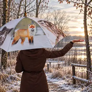 Winter Vibes