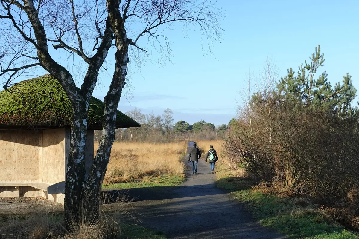 Peel Walk with Refreshment in Nationaal Park De Pelen — Buitencentrum De Pelen, Ospel