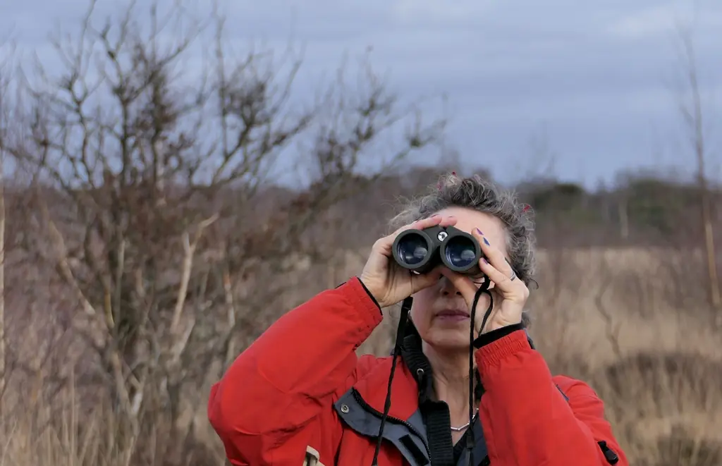 Experience bird migration in Nationaal Park De Pelen — Moostdijk 15, Ospel