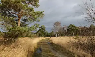 Nature Impact Day at Buitencentrum De Pelen