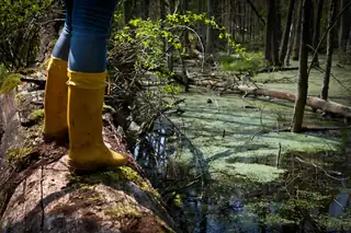 Boot Expedition in Nationaal Park De Pelen