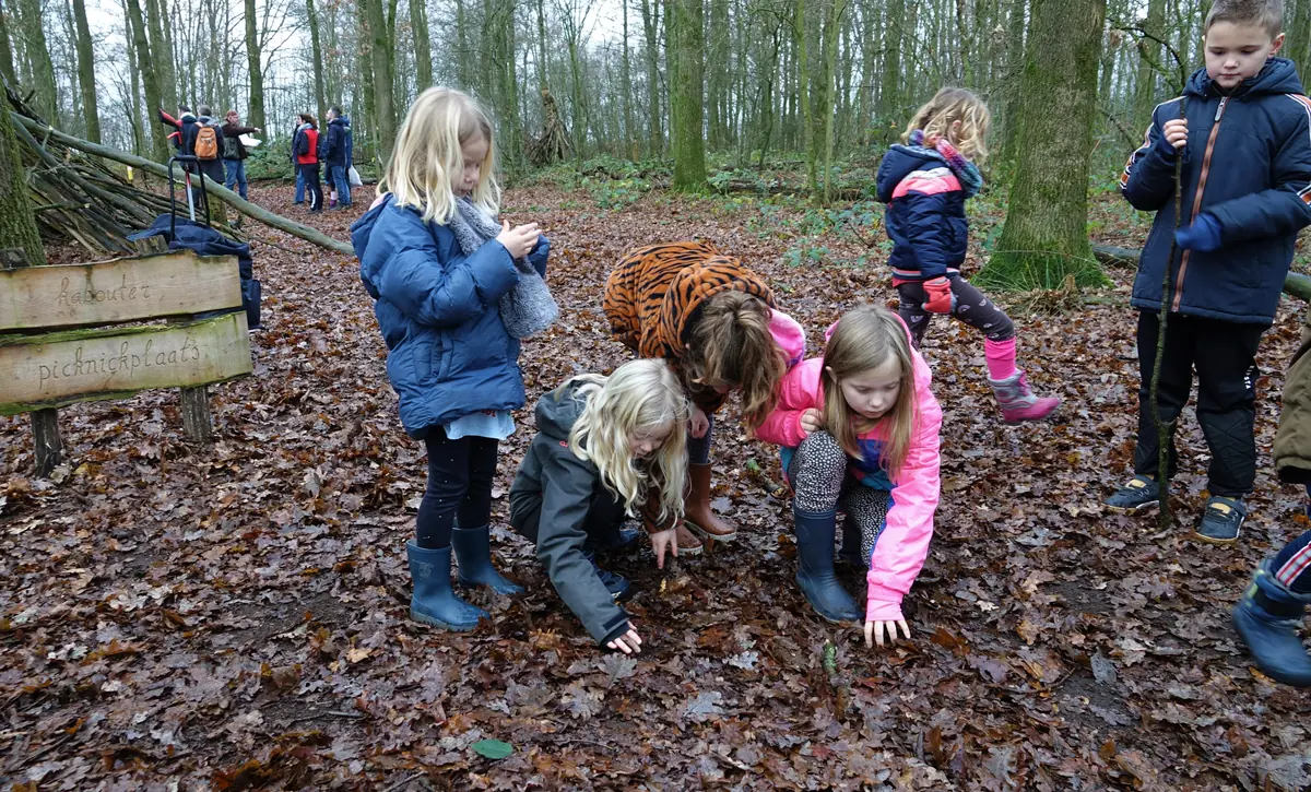 Peel autumn discovery walk in Nationaal Park De Pelen — Buitencentrum De Pelen, Ospel