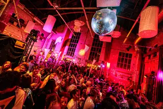 50 Years Lumière | Birthday Party