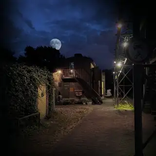 Night of the Night Walk