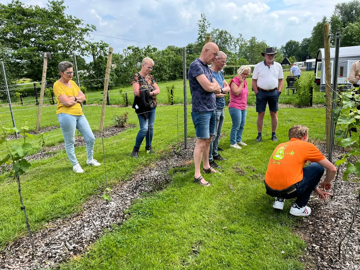 Wijngoed Drenthe β Vakantiepark De Toffe Peer, Ruinerwold