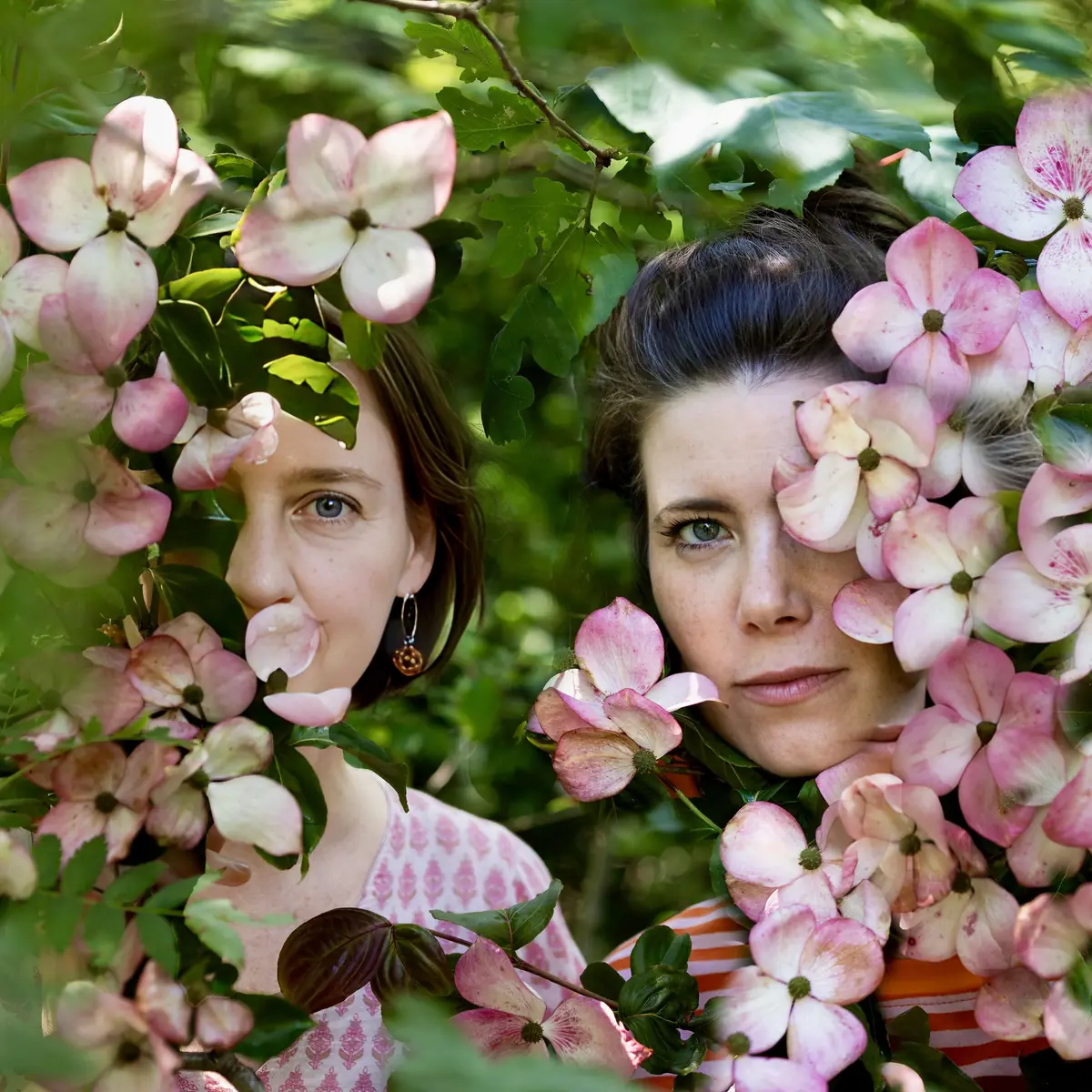 Duo Rozemond & Bekkers (viool/stem & accordeon) — Splendor, Amsterdam