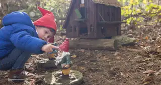 SBB - Gnome Afternoon