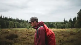Wanderings
