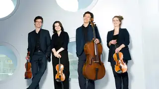 Dutch Classical Talent: Martin String Quartet