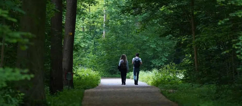Rondje Bosbaan — Amsterdamse Bos, Amstelveen