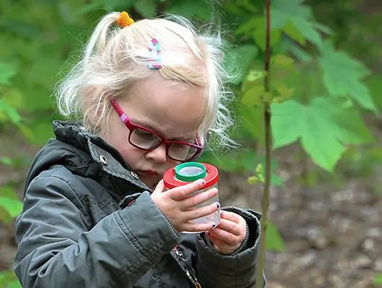 Searching for soil creatures in Rysterbosk (6+) — Rijs