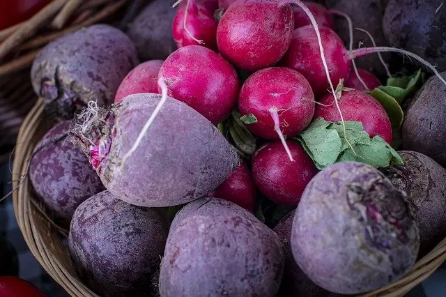 The Farmers Market on Tuesday — Stadshart Amstelveen, Amstelveen
