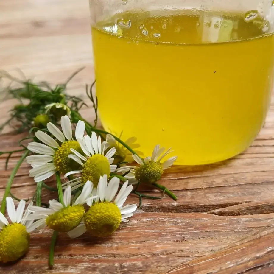 In-Depth Day: Sweet and Sour Flavours from Nature — Houwerzijl
