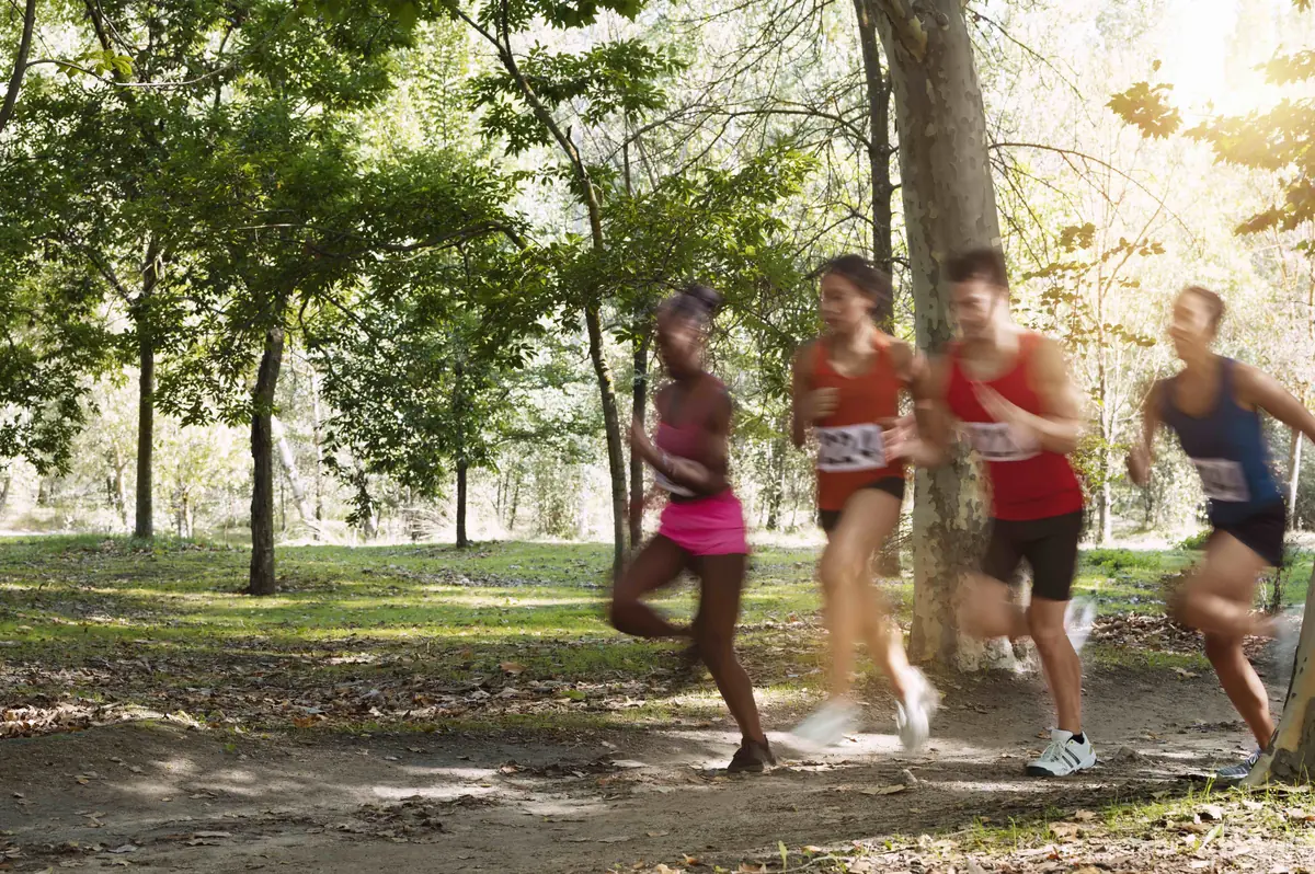 Snertcross Running Race — Oude Warande 3, Tilburg