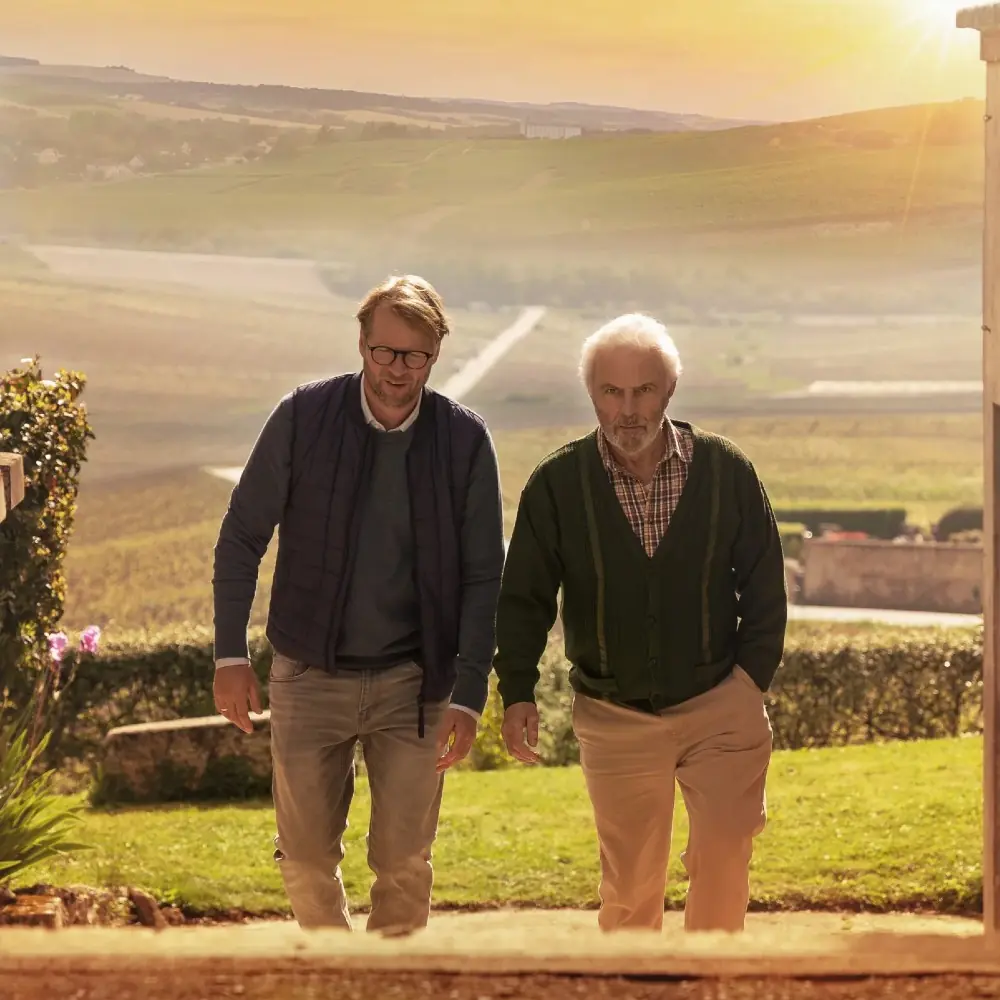 Film: Champagne — Tiliander, Oisterwijk
