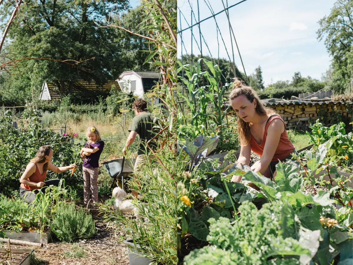 Vortrag und Workshop: Gärtnern und Naturerlebnisse mit Kindern — Bibliotheek Forum, Zoetermeer