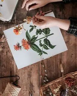 Knutselen met IVN Maas & Niers (4+)