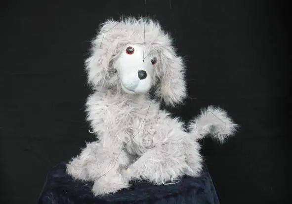 Puppentheater: Der klügste Hund — Theater Cultuurhuys de Kroon, Waddinxveen