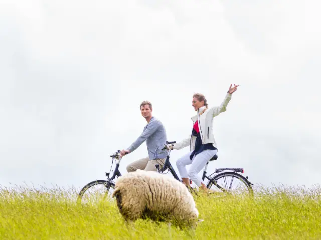 Fiets zoekt Boer — Bibliotheek Lisse, Lisse