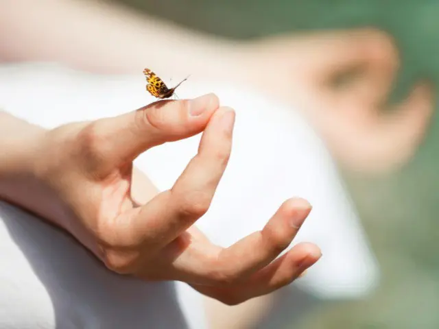 Meditation to Music Workshop — Bibliotheek Sassenheim, Sassenheim