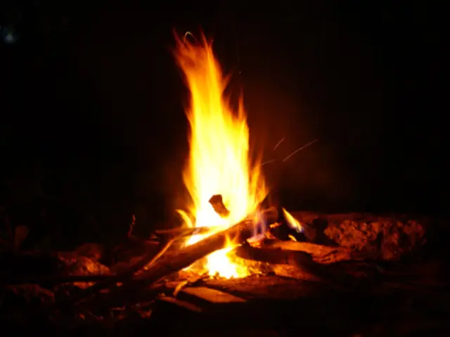 Children's Book Week: Campfire Stories — Bibliotheek Lisse, Lisse