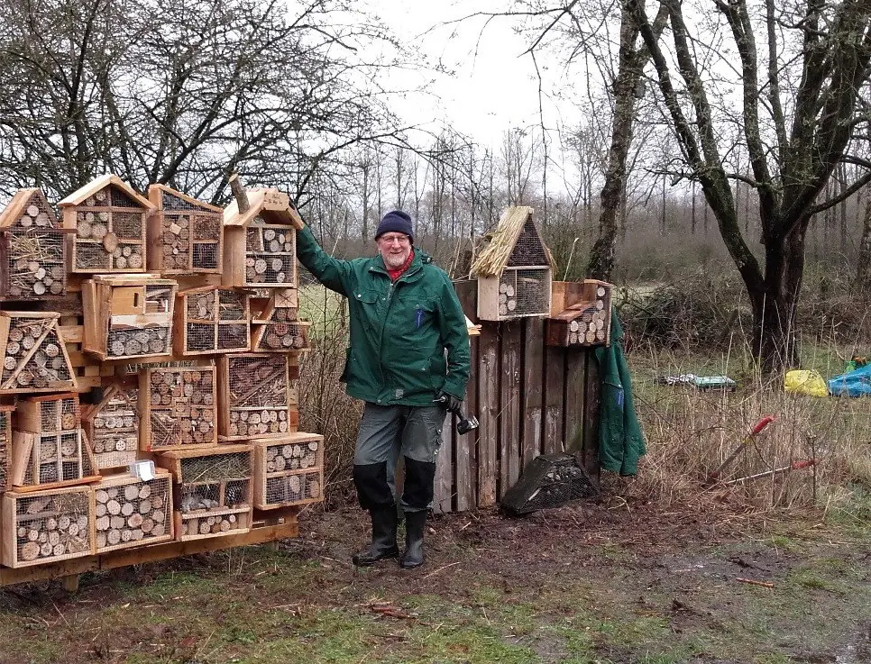 Morning Guests: Wil Maaijwee on the Baardwijkse Overlaat — de Bibliotheek Vlijmen, Vlijmen