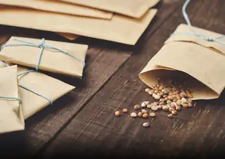 The Seed Library