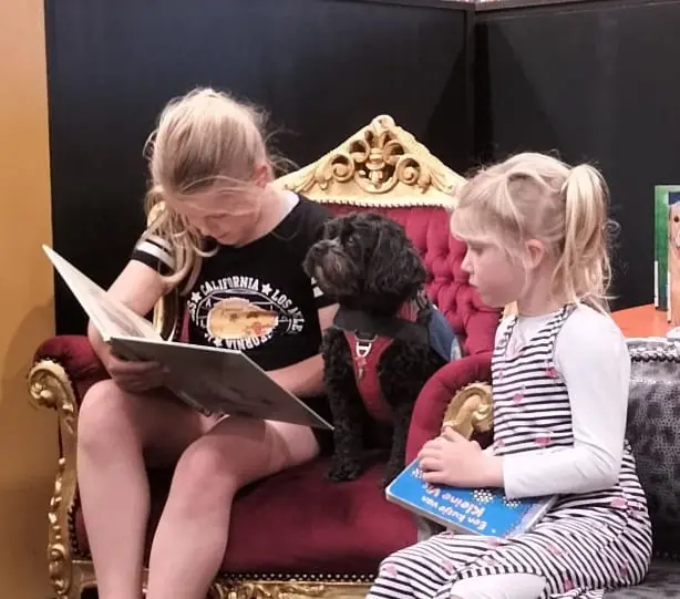 School Dog Bumper Visits the Library — Bibliotheek Drachten | Smallingerland, Drachten