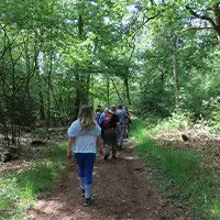 Wanderst du mit?