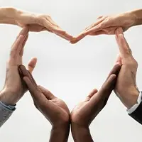 Peer Support Group for the Bereaved - Oisterwijk Autumn β de Bibliotheek Oisterwijk, Oisterwijk
