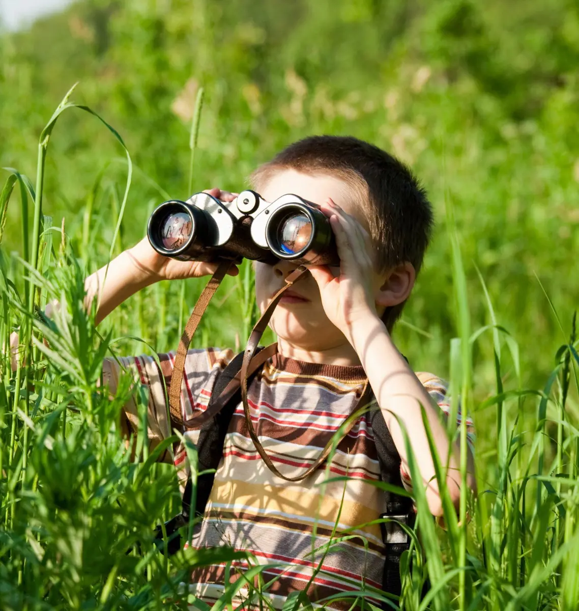 Workshop: Gemeinsam auf Vogelabenteuer (4-10 Jahre) — Dorpstuin van Duurzaam Holten, Holten