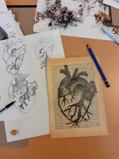 Workshop: Anatomisches Zeichnen (12 bis 15 Jahre)