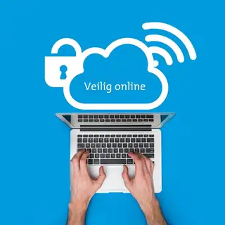 Cursus Veilig Online