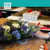 Bloemschikken 6 lessen