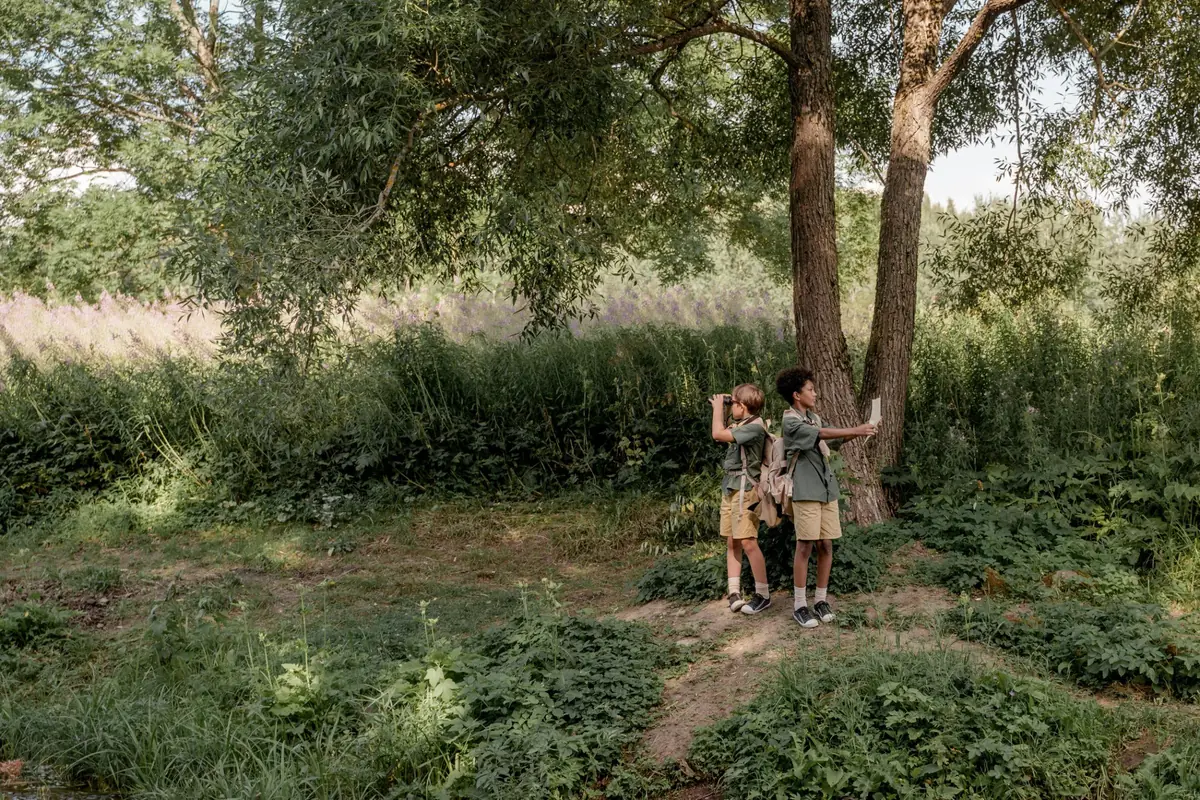 BiebLab - Natur im Fokus — Bibliotheek 's-Gravenzande, 's-Gravenzande