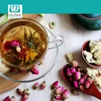 Workshop Create Your Own Tea Blend