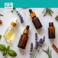 Workshop Aromatherapie ätherische Öle
