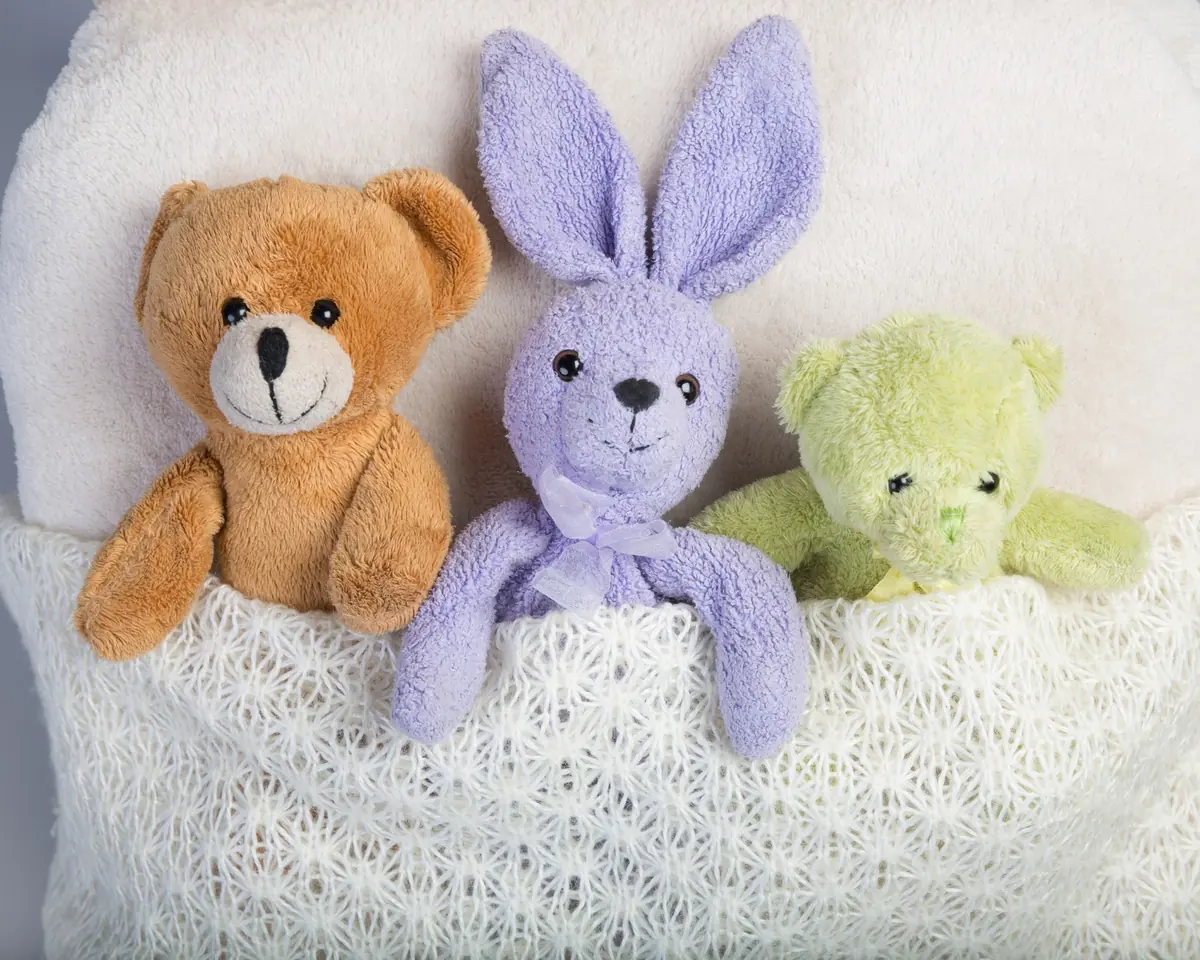 Logeerfeest voor je knuffel — Bibliotheek 's-Gravenzande, 's-Gravenzande