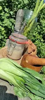 Workshop: Wilde Fermentation / Waldfermentation