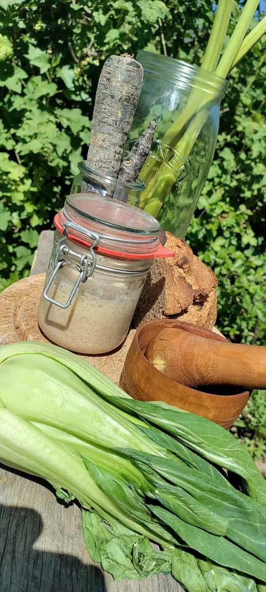 Workshop: Wilde Fermentation / Waldfermentation — de Bibliotheek Eindhoven, Eindhoven