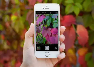 Taking Photos with Your iPhone