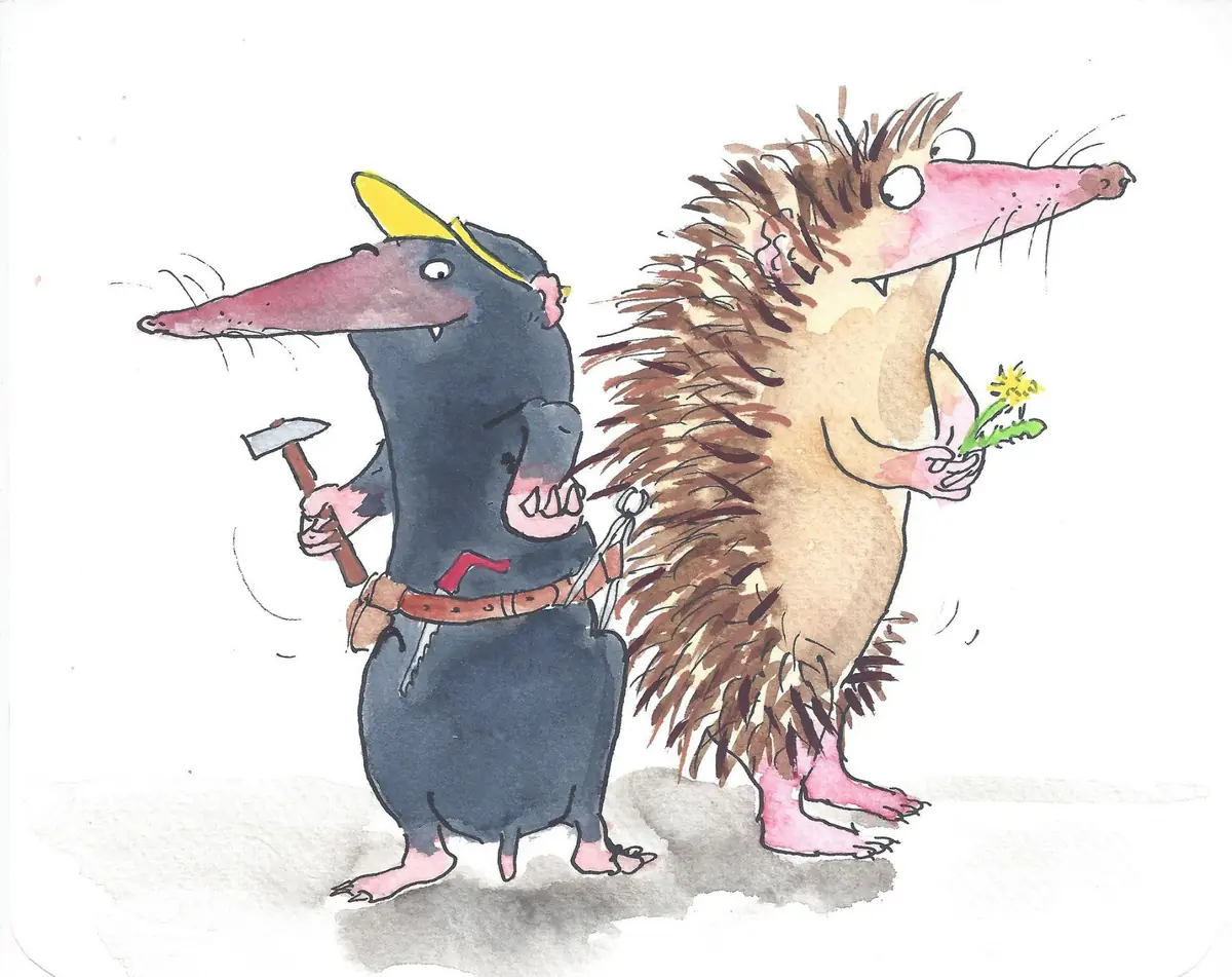 Igel und Maulwurf: Das große Memoryspiel — ZB Middelburg, Middelburg