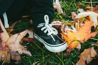 Groei & Bloei - Herbst