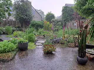 Vortrag: 12 Monate Gartenfreude