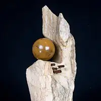 Ausstellung 'Geformte Vielfalt'